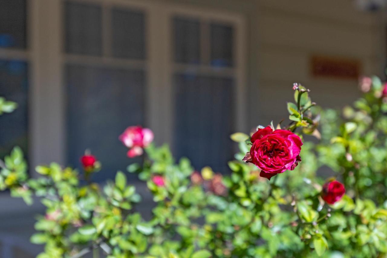 Keira Cottage Katoomba Dış mekan fotoğraf